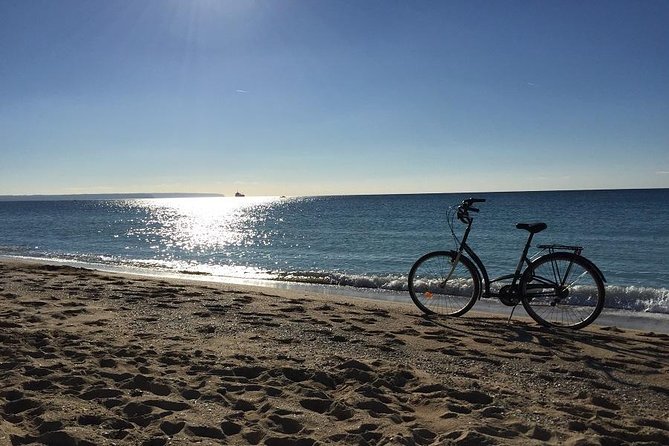 Palma de Mallorca 3-Hour Highlights and Tapas Tasting Bike Tour - Tapas tasting lunch: Majorcan flavors to end on a high note