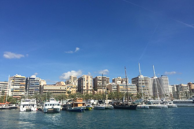 Palma de Mallorca Bay Boat Trip - Weather, Wind, and Why Timing Can Change