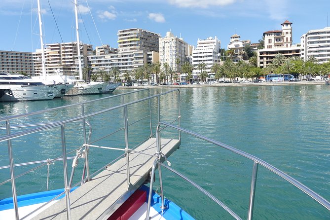 Palma de Mallorca Bay Boat Trip - Departure Details, Mobile Ticket, and Smart Timing