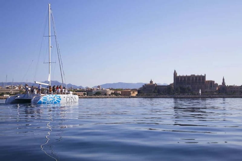 Palma de Mallorca: Deluxe Catamaran Sailing Tour with Meal - Food on board: BBQ lunch or tapas dinner, with real dietary care