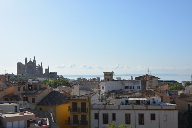 Palma de Mallorca Easy Bike Tour (Small Groups) - How Hard Is This Ride? Hills, Bike Weight, and Comfort Tips
