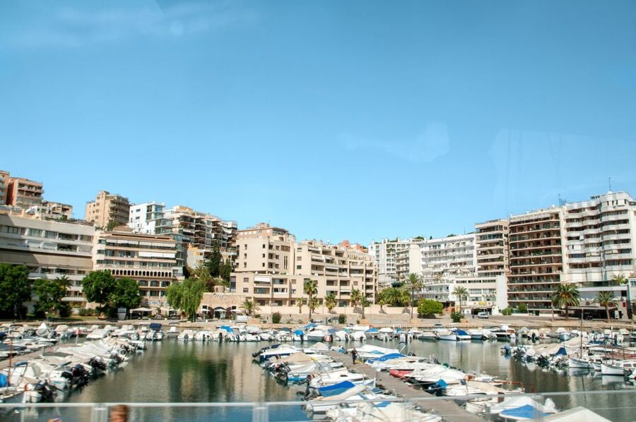 Palma de Mallorca: Full-Day Tour with Departure Options - The cathedral-and-parkwalk moment that anchors the whole tour