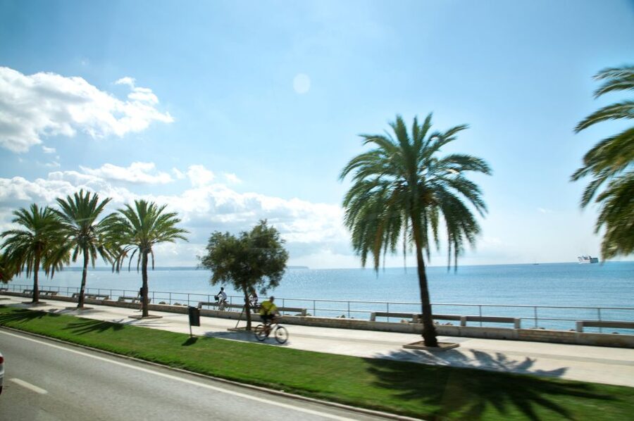 Palma de Mallorca: Full-Day Tour with Departure Options - The Alua Boccaccio start, and why the coach ride matters