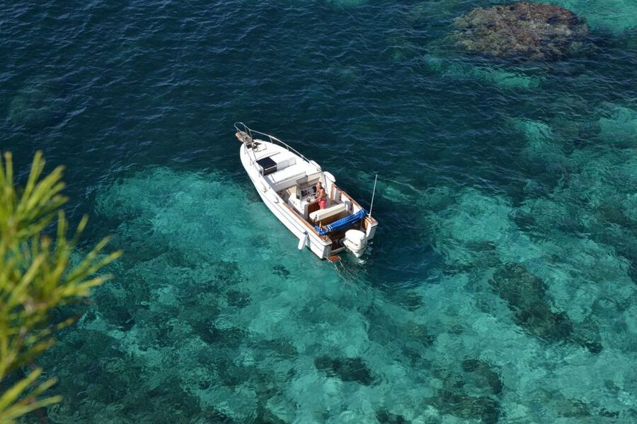 Palma de Mallorca: Full or Half-Day Boat Trip with Brunch - Snorkeling and Paddleboarding: More Than Just Gear on Board