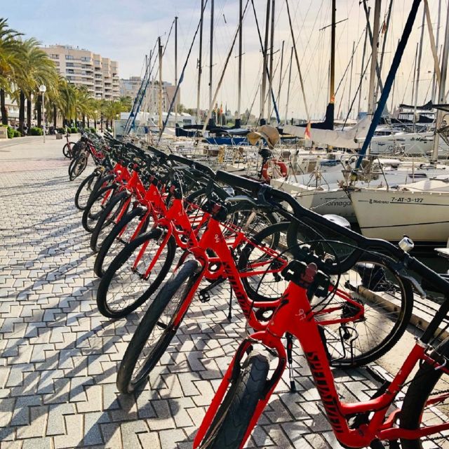 Palma de Mallorca: Guided Bicycle Tour with Tapas & a Drink - Where the tour starts in Palma, and how the ride gets comfortable