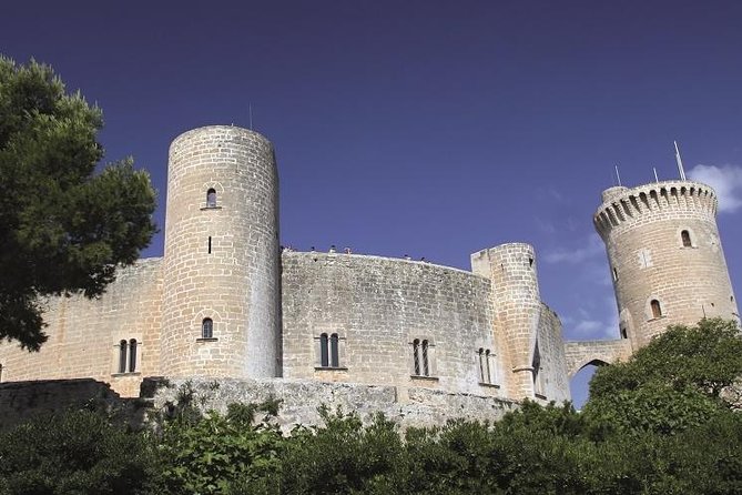 Palma de Mallorca Guided Tour with Hotel Pick up - Parc de la Mar: A Park Stop That Feels Like a Breather