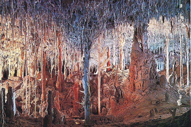 Palma de Mallorca Half-Day to Caves of Hams, Blue Cave and film - Inside the Hams: stalactites, small lakes, and a planned show