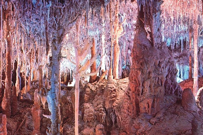 Palma de Mallorca Half-Day to Caves of Hams, Blue Cave and film - Price and value check for $57.19
