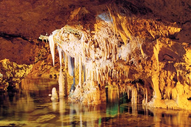 Palma de Mallorca Half-Day to Caves of Hams, Blue Cave and film - The drive from Palma to Porto Cristo (and why time matters)