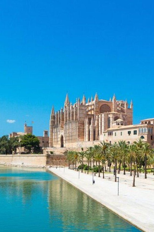 Palma de Mallorca : Must see Walking Tour With A Guide - Plaça de Santa Eulàlia and Basílica de Sant Francesc: religion, art, and local meaning