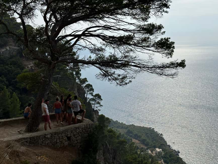 Palma de Mallorca: North Coast Nature Escape Day Tour - Hiking the North Coast, Rugged Trails and Cliff-Jump Thrills