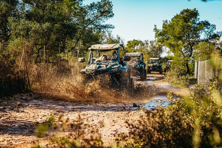 Palma de Mallorca: Off/On Road Buggy Tour with 2 or 4 Seater - Price and Value: Is $283 per Group a Smart Deal?