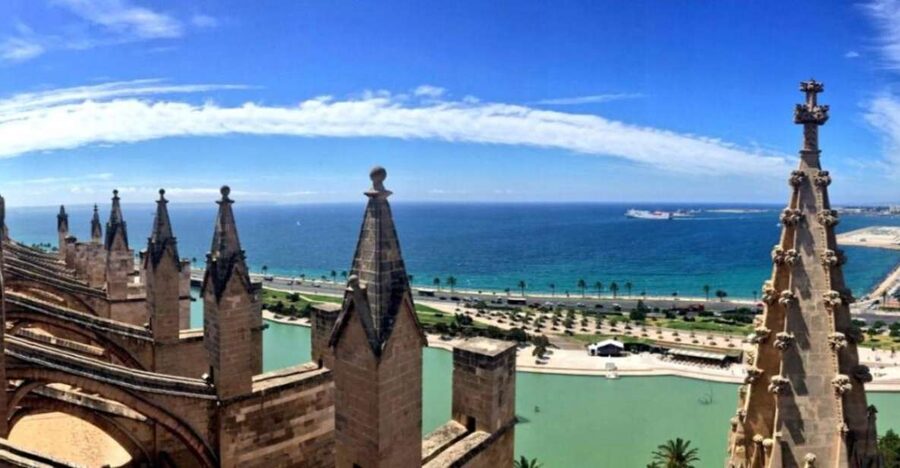 Palma de Mallorca: Old Town Guided Tour & Cathedral Visit - Who should book this Palma Old Town and cathedral tour