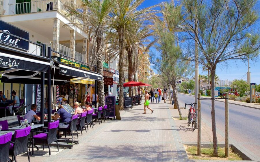 Palma de Mallorca: Palma and Playa de Palma - Palma Free Time: How To Use Your Two Hours Wisely