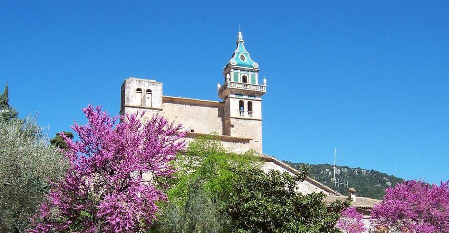 Palma de Mallorca: Palma and Valldemossa free time - Palma Free Time: How to Use Your Time in the Old Town