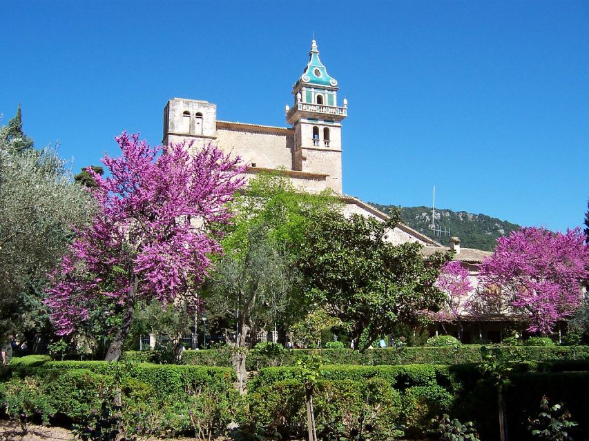 Palma de Mallorca: Palma and Valldemossa free time - The Bus Guide on Board: Helpful, Not Overbearing