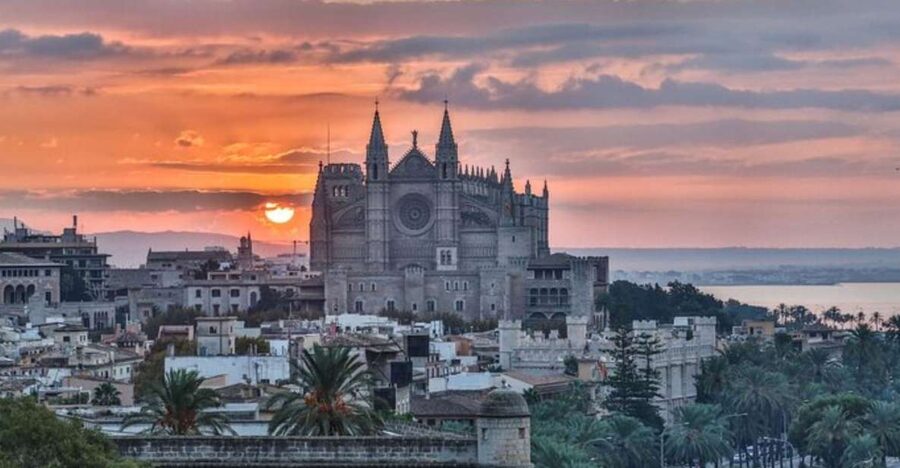 Palma de Mallorca: Private custom tour with a local guide - How the 2 to 8 hour format plays out in real life