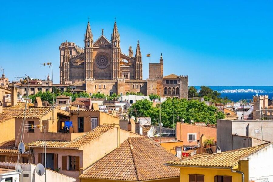 Palma de Mallorca: Private custom tour with a local guide - Museum visits: when they work best and how to plan them