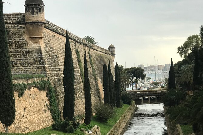 Palma de Mallorca: PRIVATE Local Food And Cathedral Experience - Price and what you get for $142.83 per person