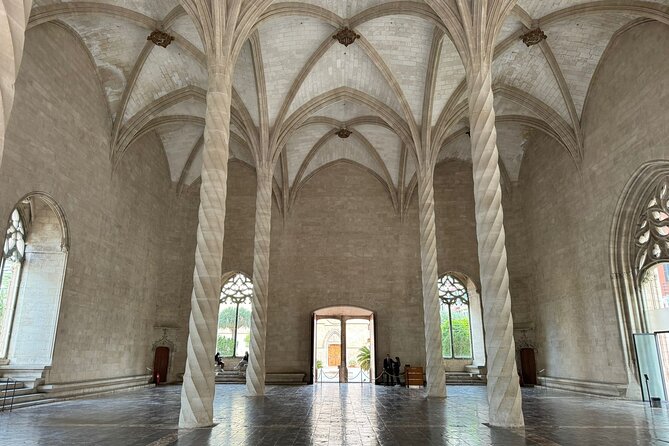 Palma de Mallorca Shore Excursion Bike Tour (Transfer Included) - Palma by bike in a cruise-day slot