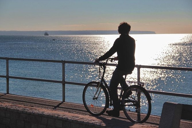 Palma de Mallorca Shore Excursion Bike Tour (Transfer Included) - Es Baluard: bay views early, before the city gets loud