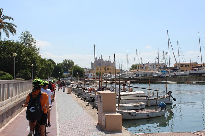 Palma de Mallorca Shore Excursion Bike Tour (Transfer Included) - La Seu (Palma Cathedral) and the Almudaina Palace area