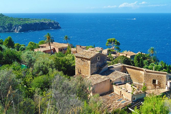 Palma de Mallorca Shore Excursion: Palma, Deia and Sa Foradada - Price and value: is $587.58 per person a smart deal?