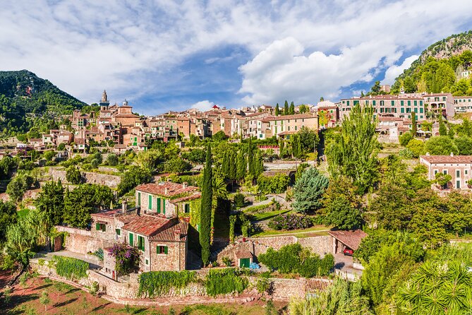 Palma de Mallorca Shore Excursion: Private Tour of Valldemossa, Soller and Serra de Tramuntana - Price and value: why it costs $590.14 per person