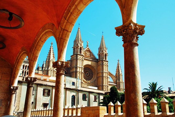 Palma de Mallorca Sightseeing Day Tour - The port, the maritime vibe, and where to stand for photos
