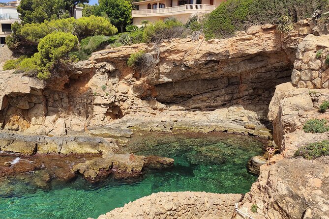 Palma de Mallorca: Small Group Tour by Locals in Hidden Coves - Meeting at Bendinat, then ending at Portals Nous