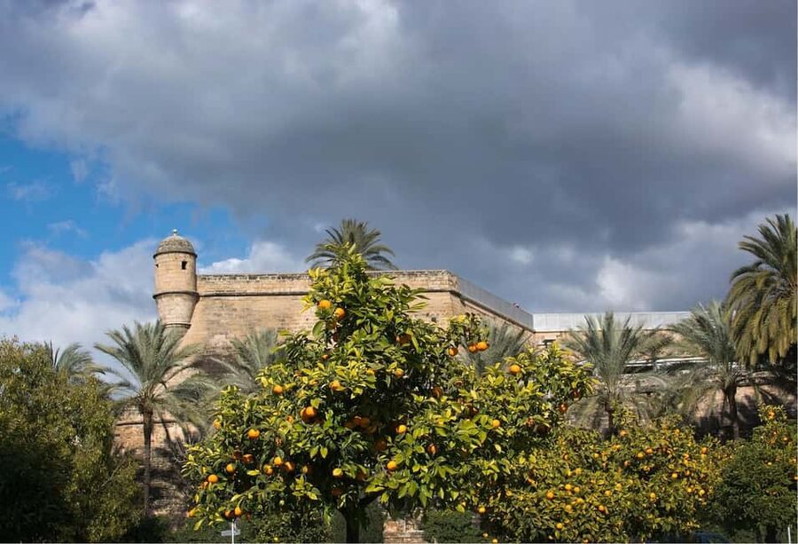 Palma de Mallorca: Small-Group Tour & Fast-Track Cathedral - Sa Llotja and Lonja de Mallorca: The City’s Trading Heart