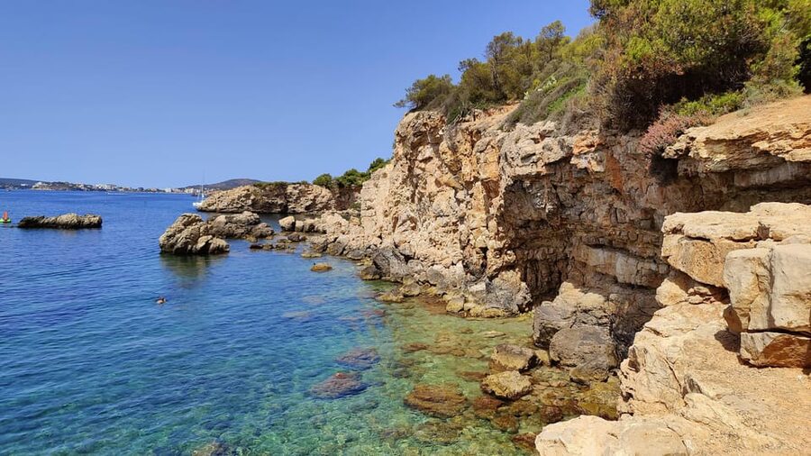 Palma de Mallorca: SmallGroup Tour by Locals in Hidden Coves - Forest path to secret coves: the part you will remember