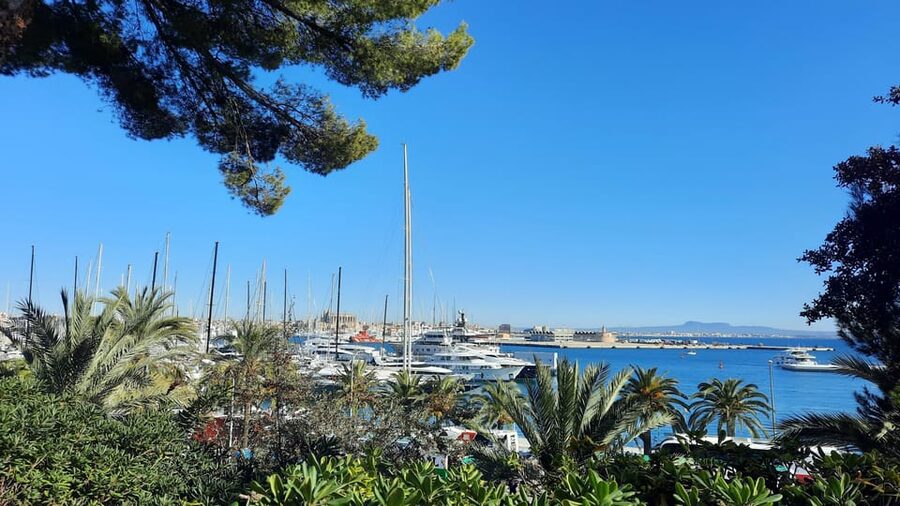 PALMA DE MALLORCA & SOLLER MIT BAHN & STADTFÜHRUNG ab Palma - Price and value: what you get for about $117