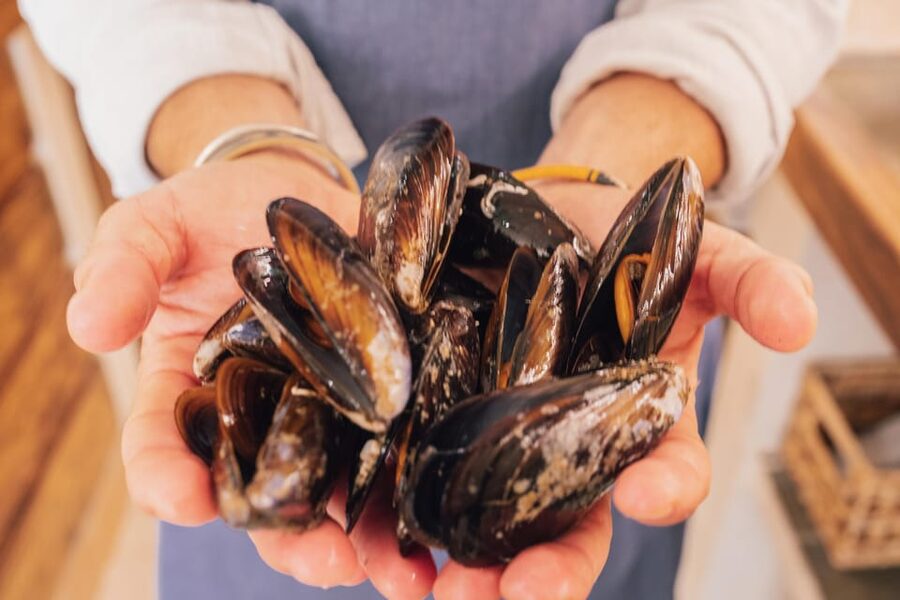 Palma de Mallorca: Spanish Cooking Experience - Price and Value: Is $136 Worth It in Palma?