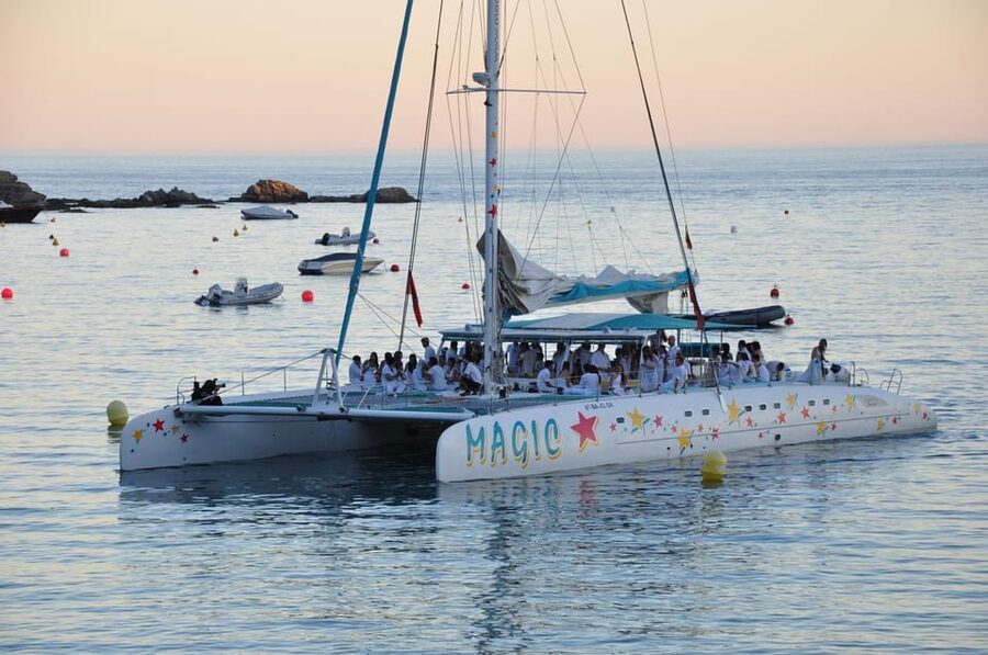 Palma de Mallorca: Sunset Sailing Catamaran Trip with Drink - Sailing the Bay of Palma: where the views come from
