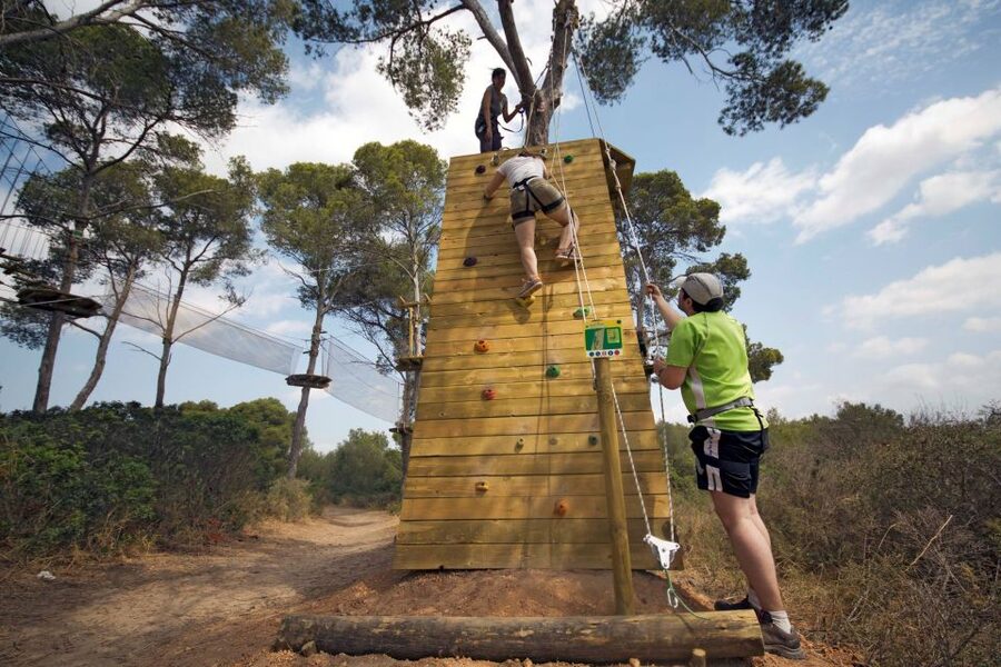 Palma: Family or Sports Course Adventure at Forestal Park - What you’ll actually do overhead: ziplines, bridges, walls, and crossings