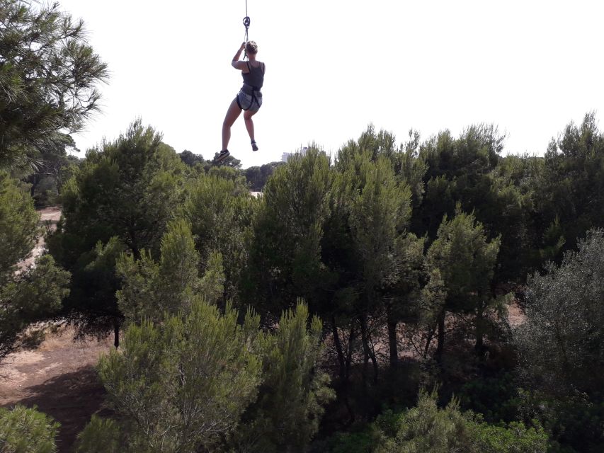 Palma: Family or Sports Course Adventure at Forestal Park - The pace, timing, and what a 2 to 3 hour visit feels like