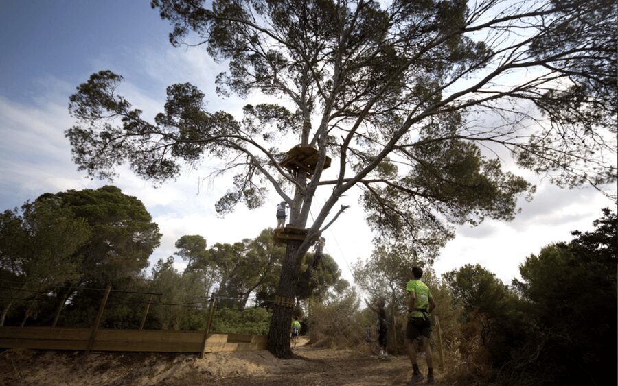 Palma: Family or Sports Course Adventure at Forestal Park - Who should book Forestal Park Mallorca, and who should skip it
