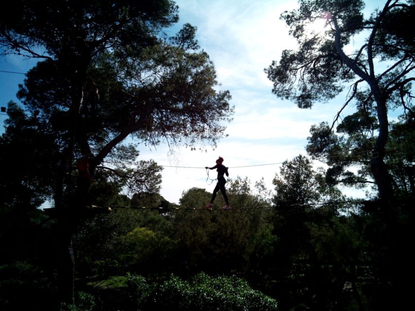 Palma: Family or Sports Course Adventure at Forestal Park - Choosing the Family vs Sport Course (and matching heights the smart way)