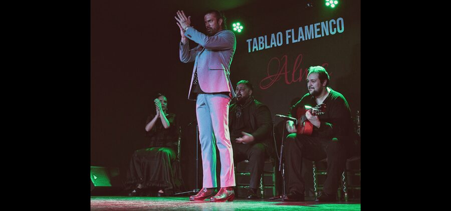 Palma: Flamenco Show at Tablao Flamenco Alma with Drink - Key highlights you will notice right away