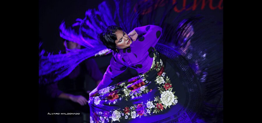 Palma: Flamenco Show at Tablao Flamenco Alma with Drink - Should you book Tablao Flamenco Alma in Palma?