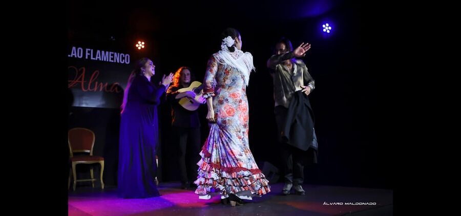 Palma: Flamenco Show at Tablao Flamenco Alma with Drink - Tablao Flamenco Alma in Palma: what the one-hour format feels like