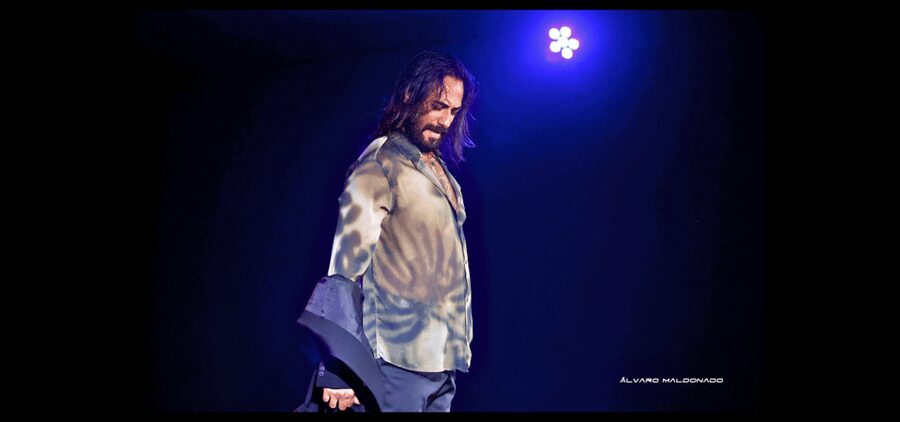 Palma: Flamenco Show at Tablao Flamenco Alma with Drink - Who this is best for in Palma