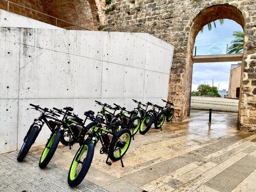 Palma: Guided City Tour with a Fat Tire E-Bike - Palma Cathedral Stop, 59 Windows, and the Cathedral of Light