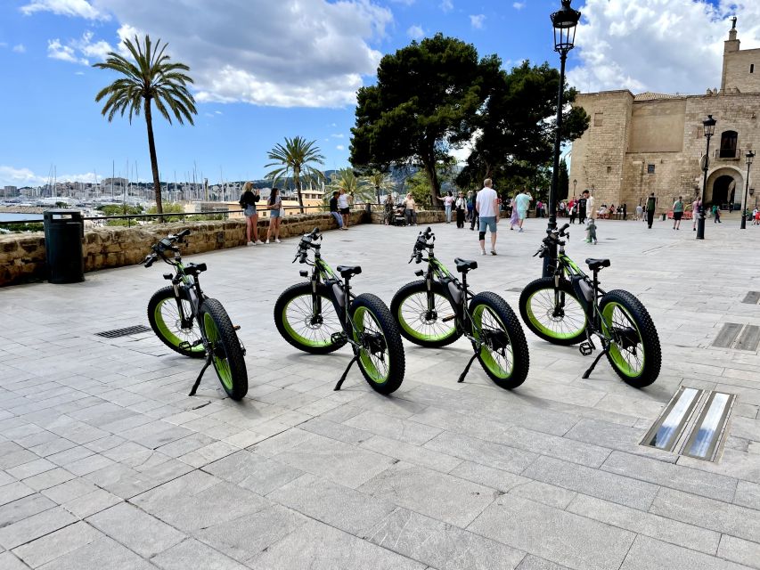 Palma: Guided City Tour with a Fat Tire E-Bike - Along the Bay Promenade: Portixol to El Molinar Views