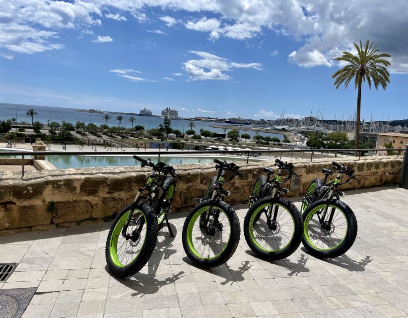 Palma: Guided City Tour with a Fat Tire E-Bike - Price Value at About $41, What You Get for the Time