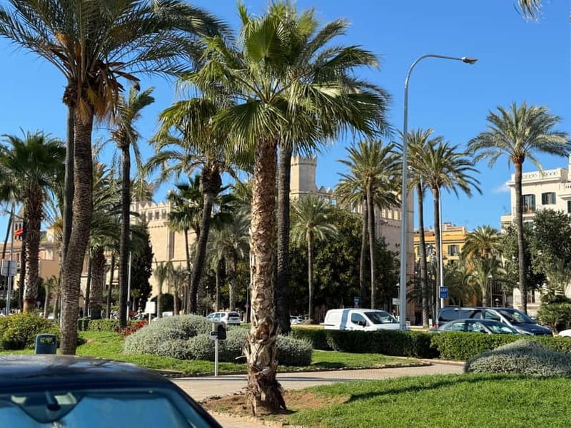 Palma in person and away from the crowds - Bellver Castle Context: How It Fits Palma, Even If You Do Not Go Inside