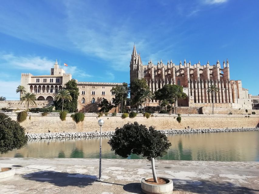Palma old town for the first time - Santa Eulàlia Church and Sant Francesc Basilica, two stops with different personalities