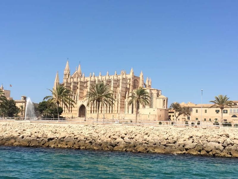 Palma Old Town Insider Tour with visit of the Cathedral - La Llonja and Consolat de la Mar: Palma the merchant city