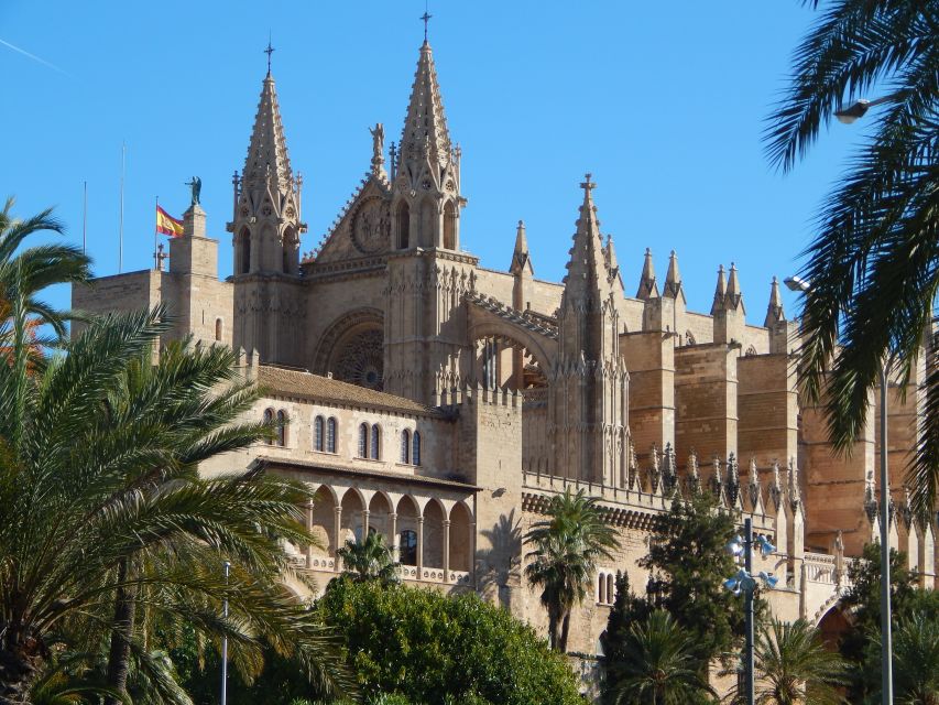 Palma: Old Town Walking Tour & Cathedral Skip-the-Line - Price and Value for a 2.5-Hour Walking Tour